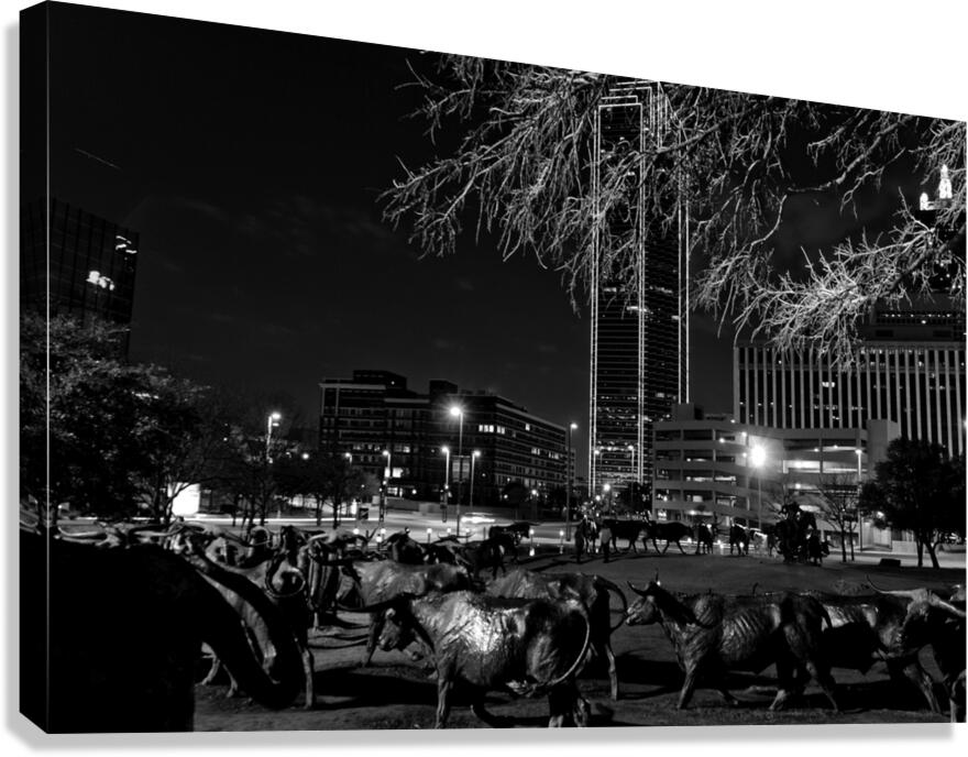 bronze cattle drive  horizontal 2118 Drive 13k.jp Canvas Print