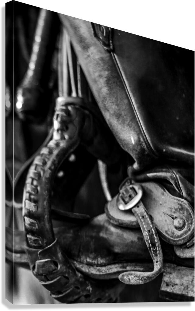 texas cowboy boot in stirrup  vertical 818 Stirru Canvas Print