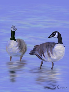 2 Geese by Dorothea Neumann