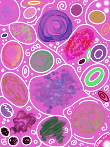 Circle Overload In Fuchsia