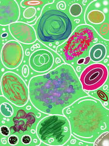 Circle Overload In Neon Green