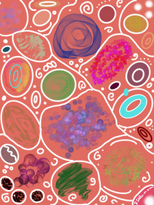 Circle Overload In Rust