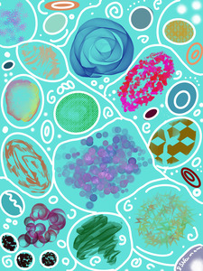 Circle Overload In Turquoise