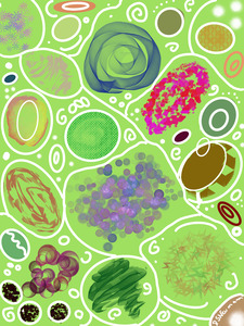 Circle Overload In Yellow Green
