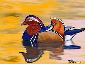 Colorful Duck