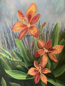 Tiger Lily