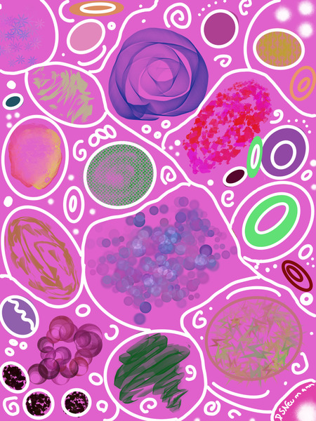 Circle Overload In Fuchsia by Dorothea Neumann