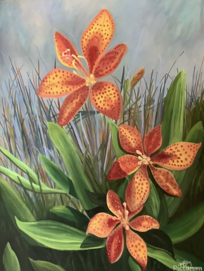 Tiger Lily by Dorothea Neumann Wall Art