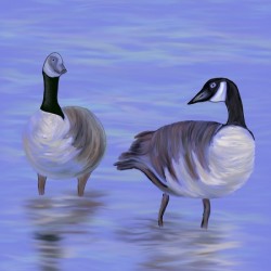 2 Geese