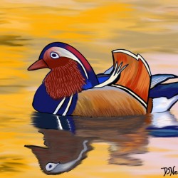Colorful Duck