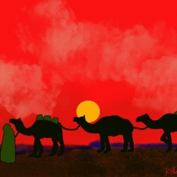 Night Caravan