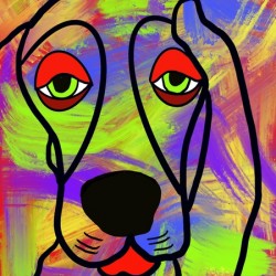 Sad eyed Dog