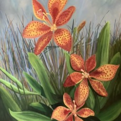 Tiger Lily