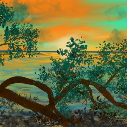 View Past The Broken Branch