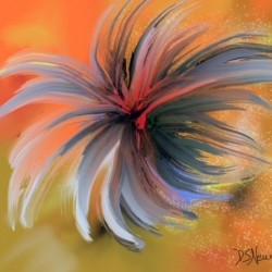 Wildflower