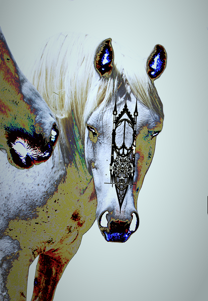 Drishti 2 ~Photography by Guillaume Gypsyhorsephoto 1 by Guillaume