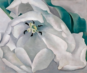 Georgia OKeeffe - White Flower
