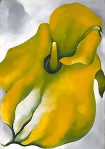 Georgia OKeeffe - Yellow Calla1926