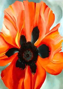 Georgia OKeeffe - Red Poppy 1927 