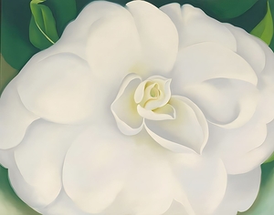 Georgia OKeeffe - A White Camellia