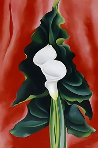 Georgia OKeeffe - Single Calla Lily Red