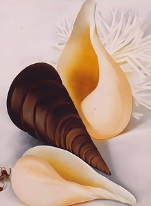 Georgia OKeeffe - Two White Shells One Black Shell