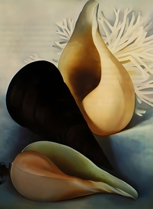 Georgia OKeeffe - Two White Shells One Black Shell