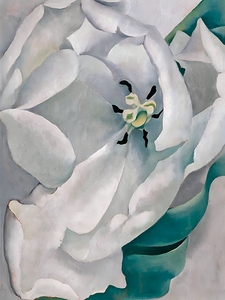 Georgia OKeeffe - White Flower  1932 