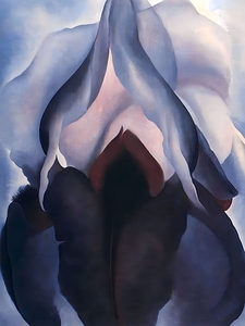 Georgia OKeeffe - Black Iris III