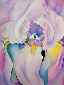 Georgia OKeeffe - Light of iris