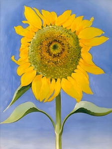 Georgia OKeeffe - Sunflower New Mexico 1935