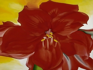 Georgia OKeeffe Red Amaryllis   