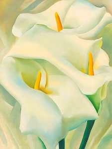 Georgia OKeeffe - Calla Lilies 1924
