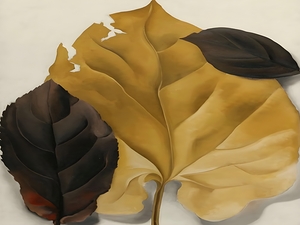 Grey And Brown Leaves By Georgia Okeeffe . 1929
