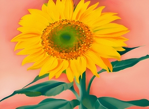 Georgia OKeeffe - A Sunflower from Maggie 1937