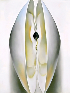Georgia OKeeffe - Slightly Open Clam Shell 1926