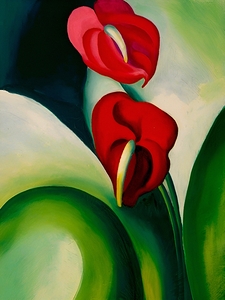 Georgia OKeeffe - Anthurium. 1923