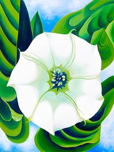 Georgia OKeeffe - Jimson Weed. 1932 