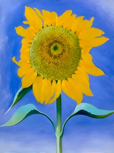 Georgia OKeeffe - Sunflower New Mexico. 1935 