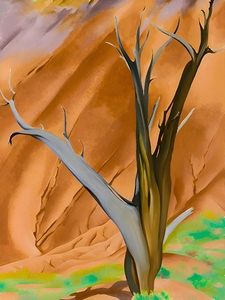 Georgia OKeeffe - Geralds Tree I 1937