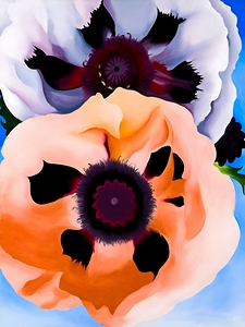 Georgia OKeeffe - Poppies 1950