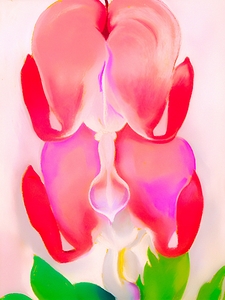 Georgia OKeeffe - Bleeding Heart. 1932