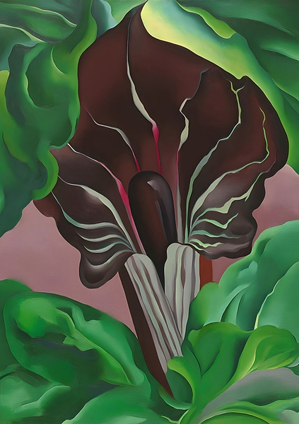 Georgia OKeeffe - Jack-in-Pulpit - No. 2 Print