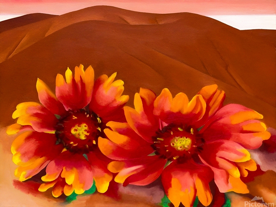 Georgia O'Keeffe - Red Hills with Flowers. 1937 by William