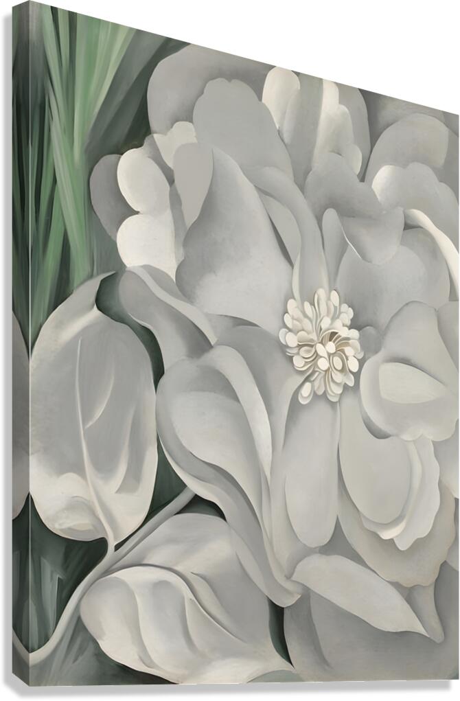 Georgia OKeeffe - The White Calico Flower .1931 Canvas Print