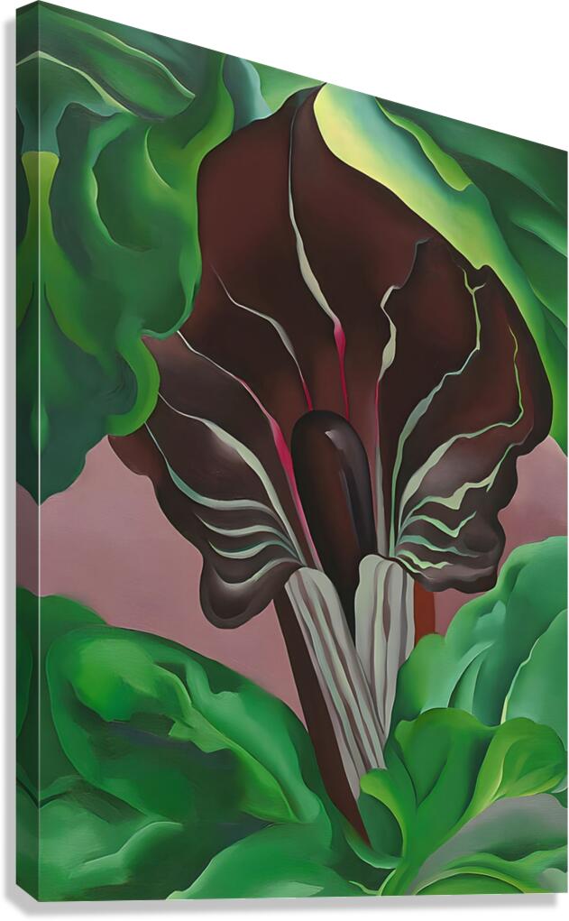 Georgia OKeeffe - Jack-in-Pulpit - No. 2 Canvas Print