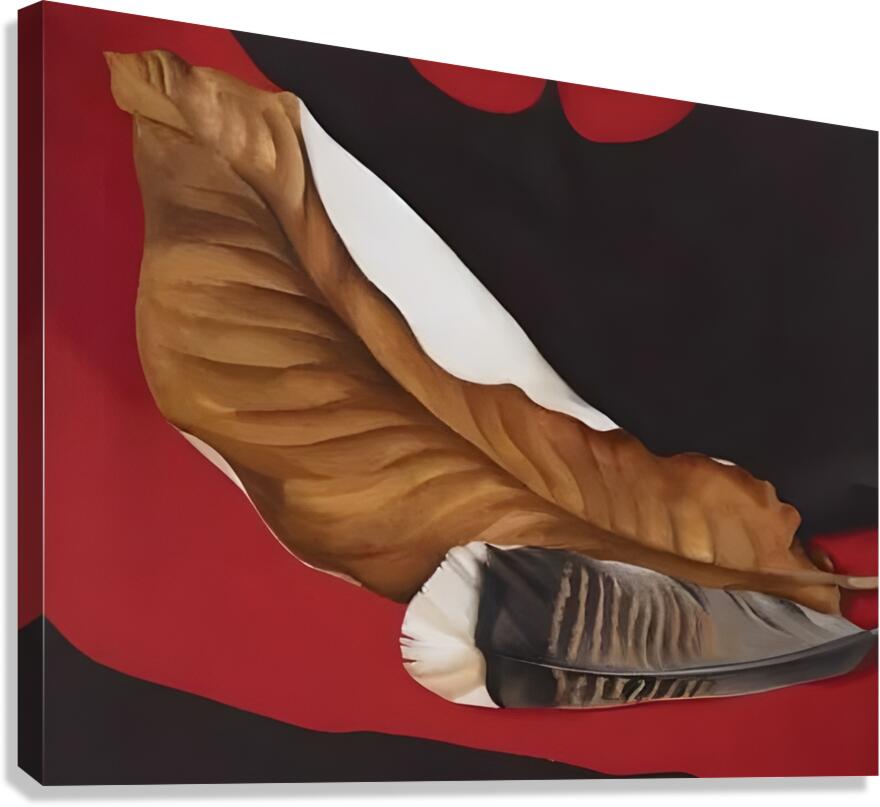 Georgia Okeeffe - Feather And Brown Leaf . A Canvas Print