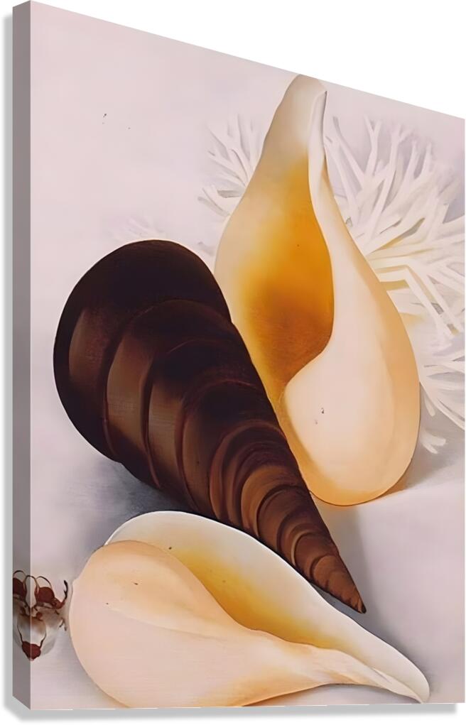 Georgia OKeeffe - Two White Shells One Black Shell Canvas Print