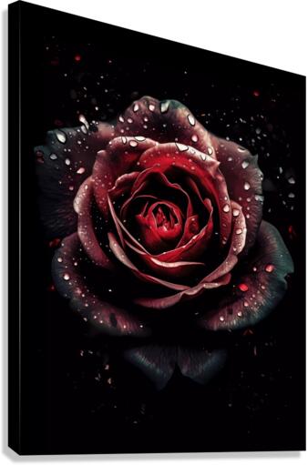 Red Rose Elegance Canvas Print