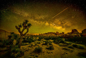 Joshua Tree Milky Way